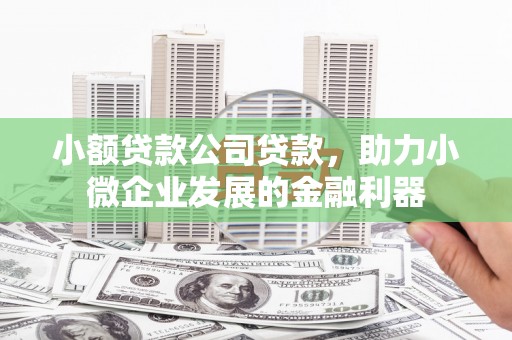 仁寿小额贷款公司贷款，助力小微企业发展的金融利器