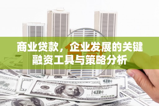 仁寿商业贷款，企业发展的关键融资工具与策略分析