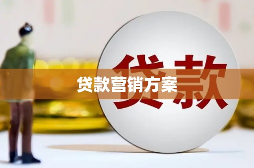 仁寿贷款营销方案