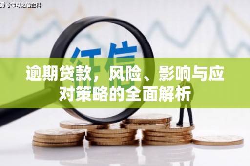 仁寿逾期贷款，风险、影响与应对策略的全面解析