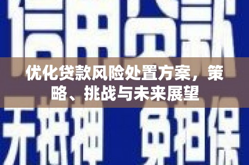 仁寿优化贷款风险处置方案，策略、挑战与未来展望