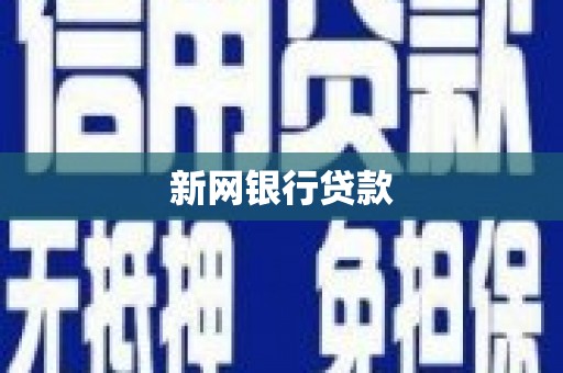 仁寿新网银行贷款
