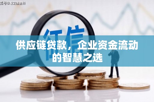仁寿供应链贷款，企业资金流动的智慧之选