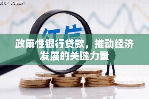 仁寿政策性银行贷款，推动经济发展的关键力量
