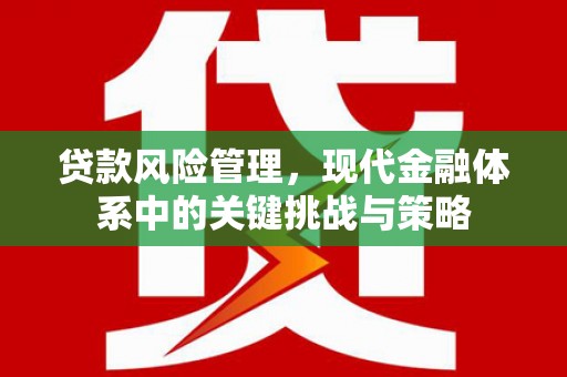 仁寿贷款风险管理，现代金融体系中的关键挑战与策略
