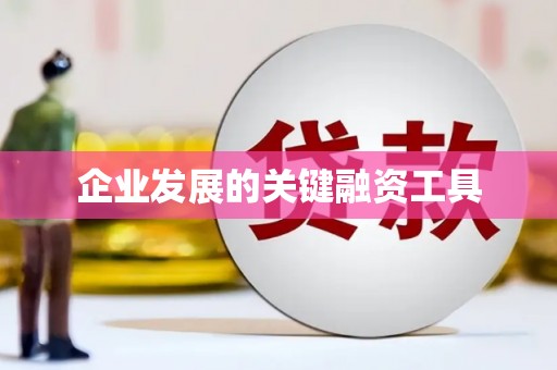 仁寿企业发展的关键融资工具