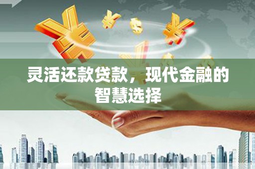 仁寿灵活还款贷款，现代金融的智慧选择