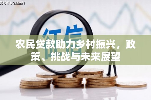 仁寿农民贷款助力乡村振兴，政策、挑战与未来展望