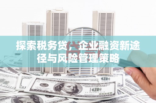 仁寿探索税务贷，企业融资新途径与风险管理策略