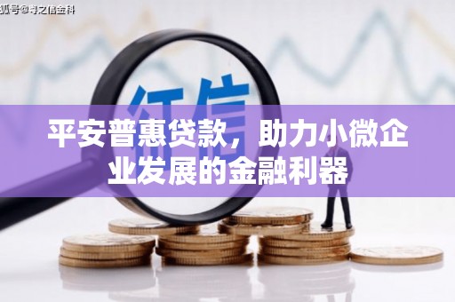 仁寿平安普惠贷款，助力小微企业发展的金融利器