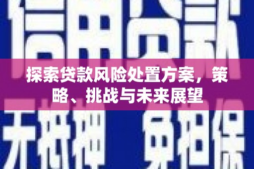 仁寿探索贷款风险处置方案，策略、挑战与未来展望