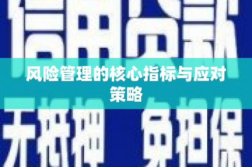 仁寿风险管理的核心指标与应对策略