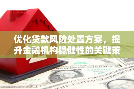 仁寿优化贷款风险处置方案，提升金融机构稳健性的关键策略