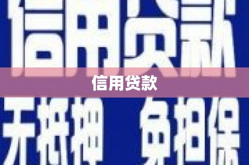 仁寿信用贷款