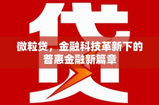 仁寿微粒贷，金融科技革新下的普惠金融新篇章