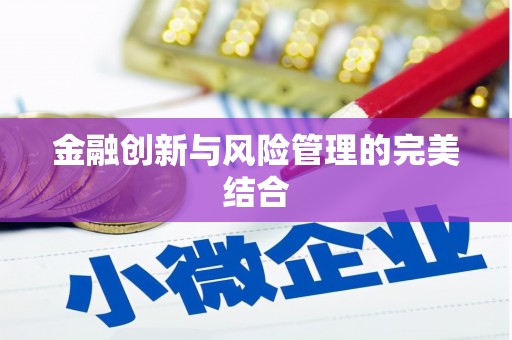 仁寿金融创新与风险管理的完美结合