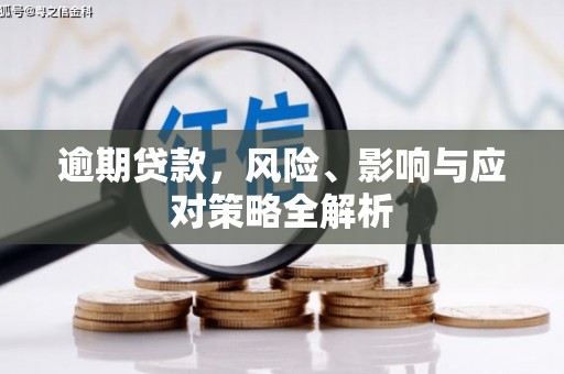 仁寿逾期贷款，风险、影响与应对策略全解析