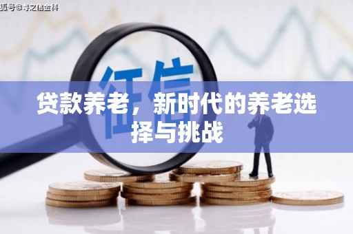 仁寿贷款养老，新时代的养老选择与挑战