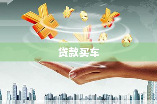 仁寿贷款买车