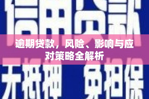 仁寿逾期贷款，风险、影响与应对策略全解析