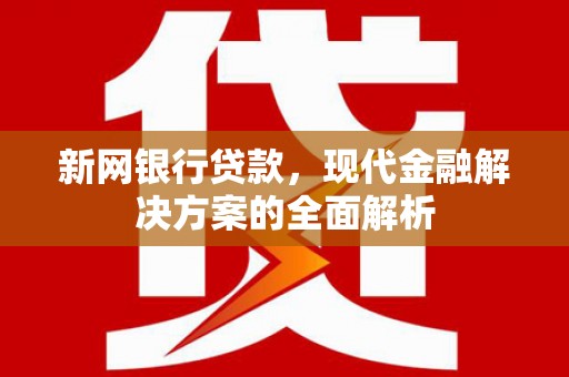 仁寿新网银行贷款，现代金融解决方案的全面解析