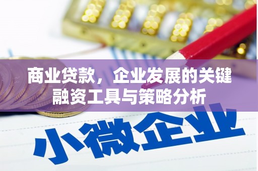 仁寿商业贷款，企业发展的关键融资工具与策略分析