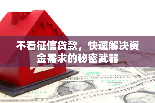 仁寿不看征信贷款，快速解决资金需求的秘密武器