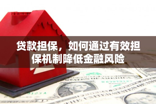 仁寿贷款担保，如何通过有效担保机制降低金融风险