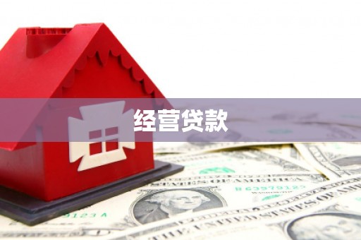 仁寿经营贷款
