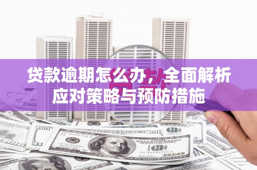 仁寿贷款逾期怎么办，全面解析应对策略与预防措施