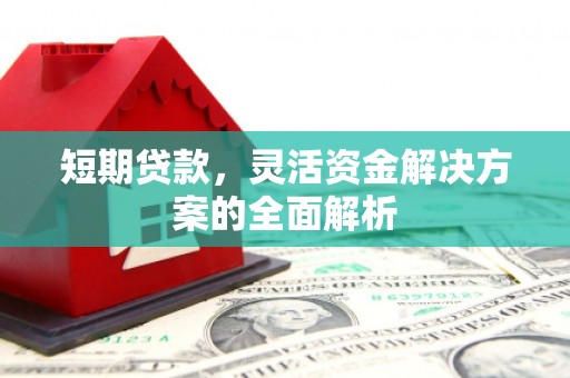 仁寿短期贷款，灵活资金解决方案的全面解析
