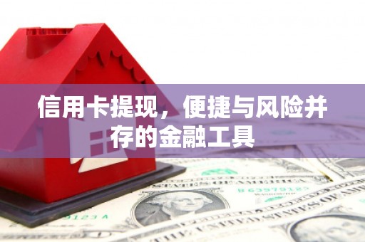 仁寿信用卡提现，便捷与风险并存的金融工具