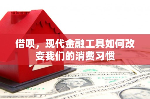 仁寿借呗，现代金融工具如何改变我们的消费习惯