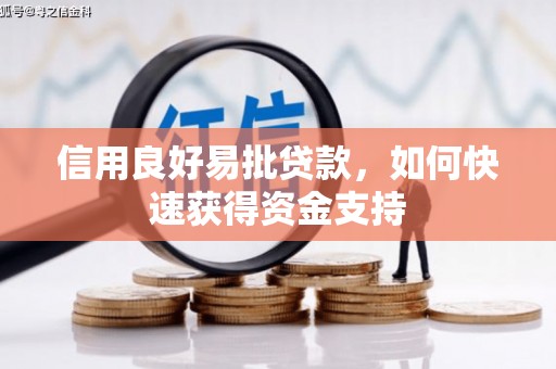 仁寿信用良好易批贷款，如何快速获得资金支持