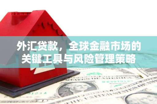 仁寿外汇贷款，全球金融市场的关键工具与风险管理策略