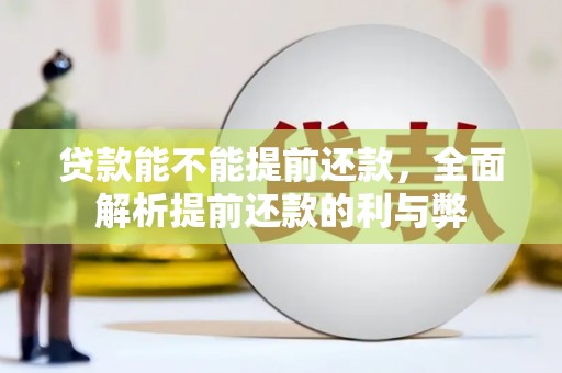 仁寿贷款能不能提前还款，全面解析提前还款的利与弊