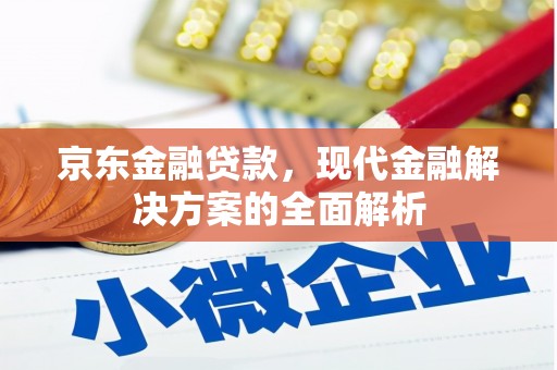 仁寿京东金融贷款，现代金融解决方案的全面解析
