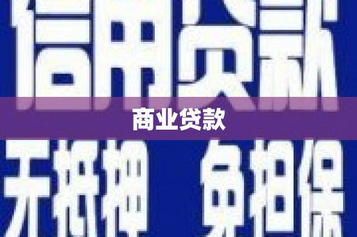 仁寿商业贷款