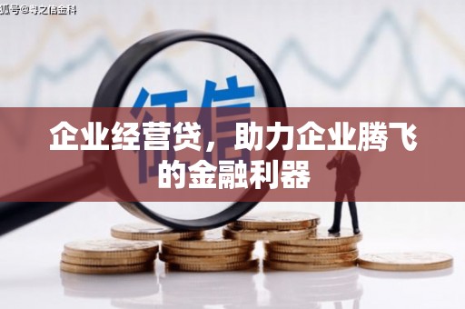 仁寿企业经营贷，助力企业腾飞的金融利器