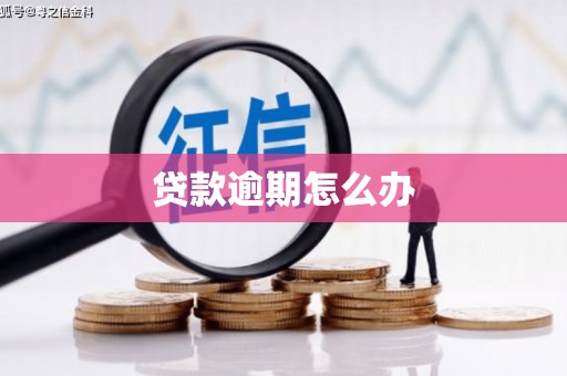 仁寿贷款逾期怎么办