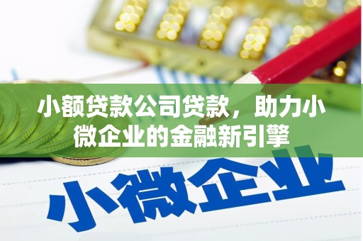 仁寿小额贷款公司贷款，助力小微企业的金融新引擎
