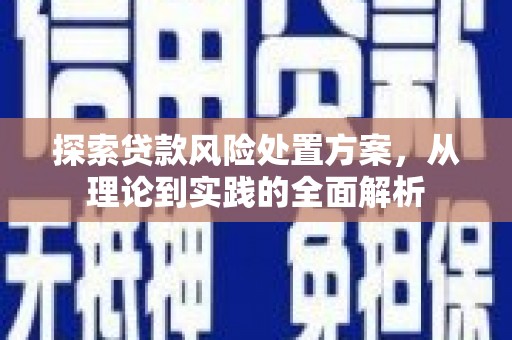 仁寿探索贷款风险处置方案，从理论到实践的全面解析