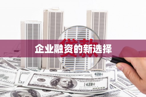 仁寿企业融资的新选择