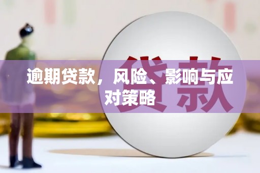 仁寿逾期贷款，风险、影响与应对策略