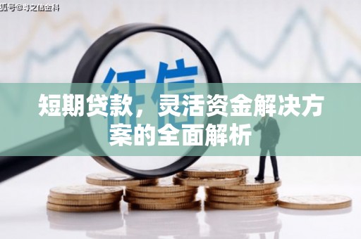 仁寿短期贷款，灵活资金解决方案的全面解析