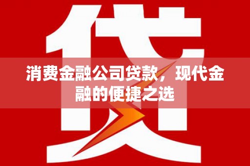 仁寿消费金融公司贷款，现代金融的便捷之选