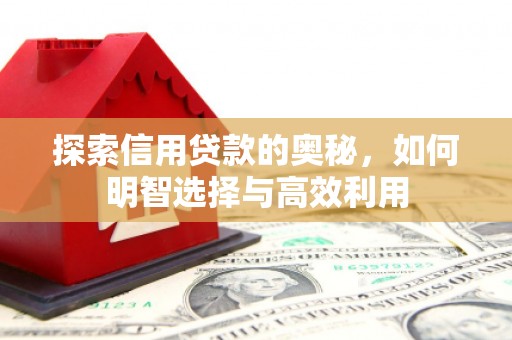 仁寿探索信用贷款的奥秘，如何明智选择与高效利用
