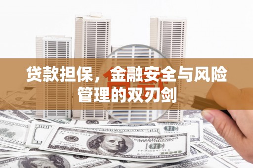 仁寿贷款担保，金融安全与风险管理的双刃剑