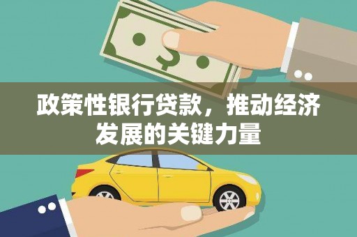 仁寿政策性银行贷款，推动经济发展的关键力量