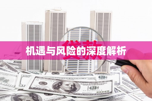仁寿机遇与风险的深度解析